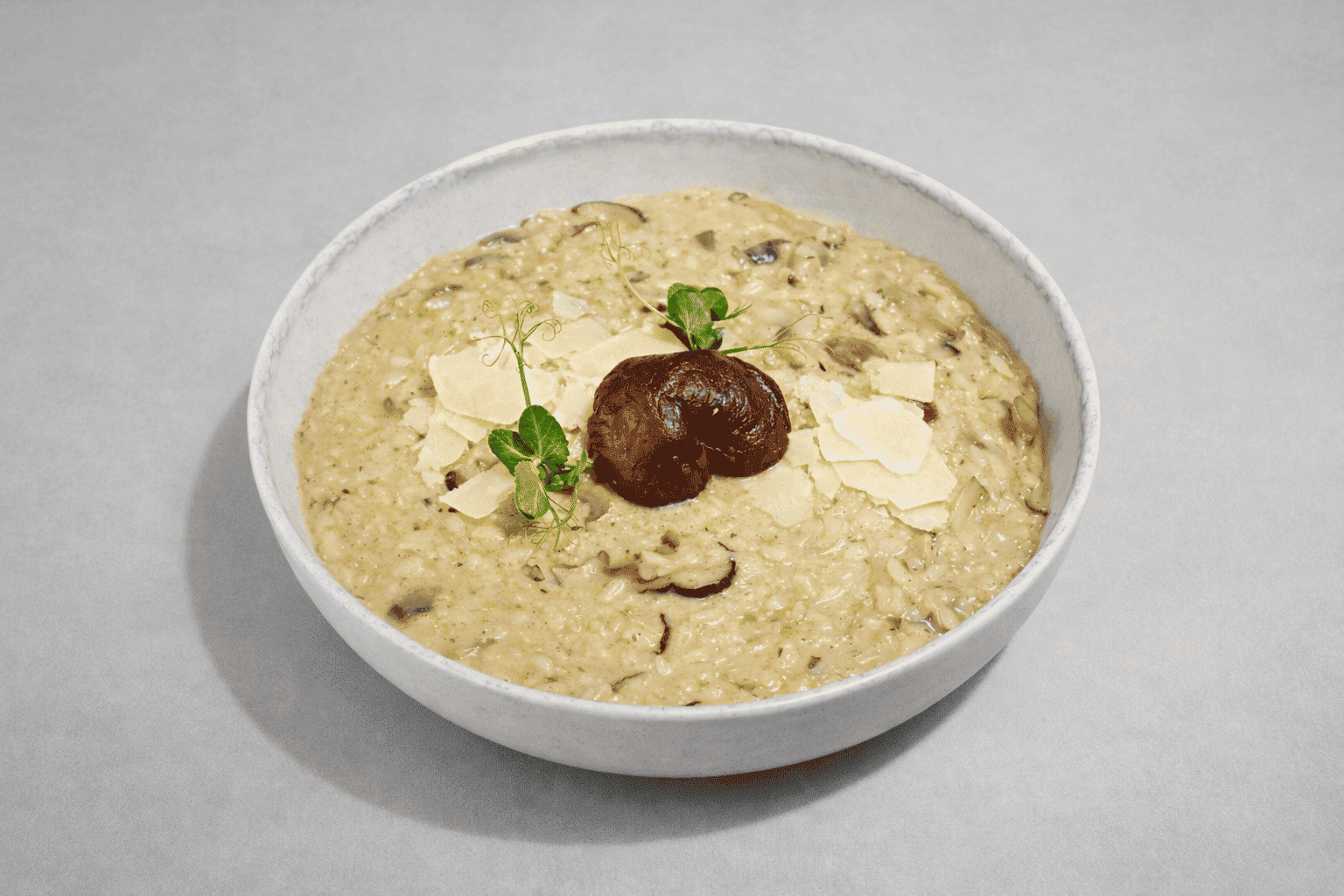 Wild Mushroom Risotto